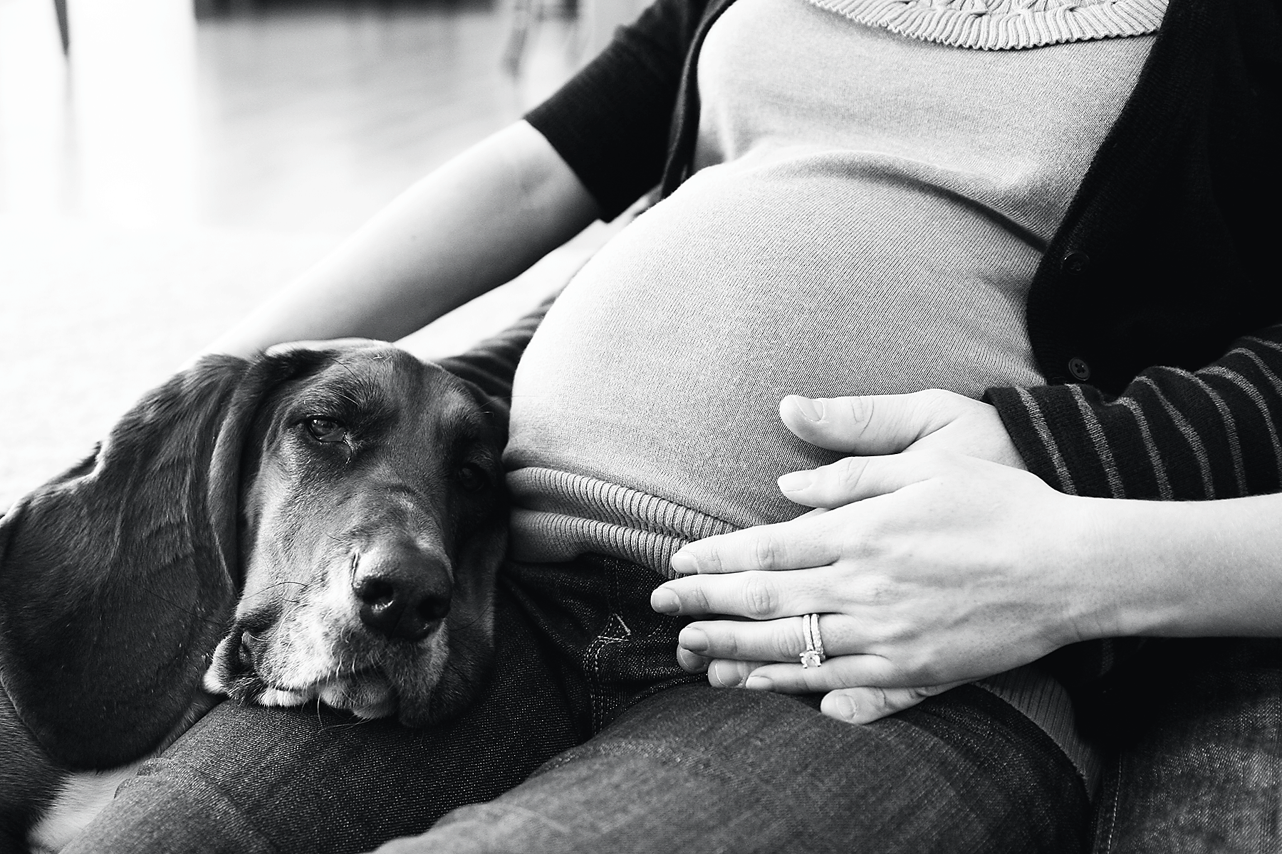 Pregnant Mom Belly With Hound Dog